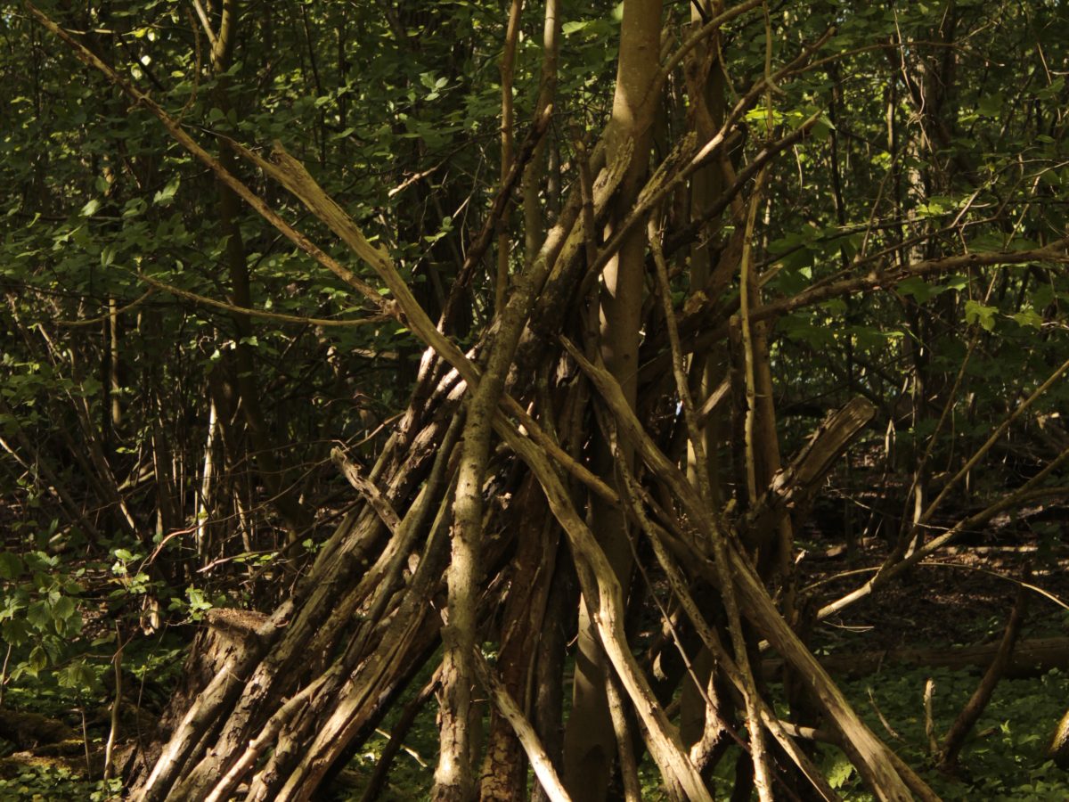 Tent of sticks