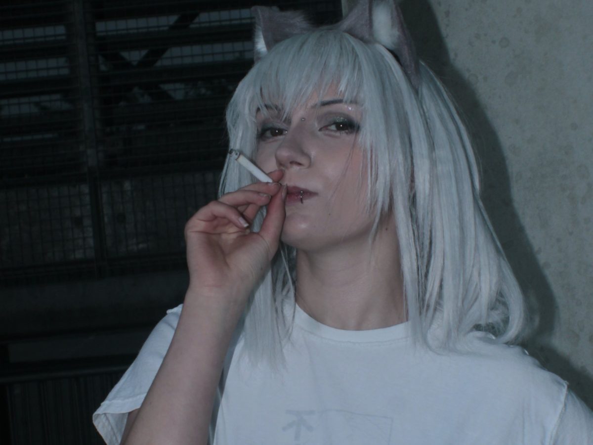 Yani Robin Neko