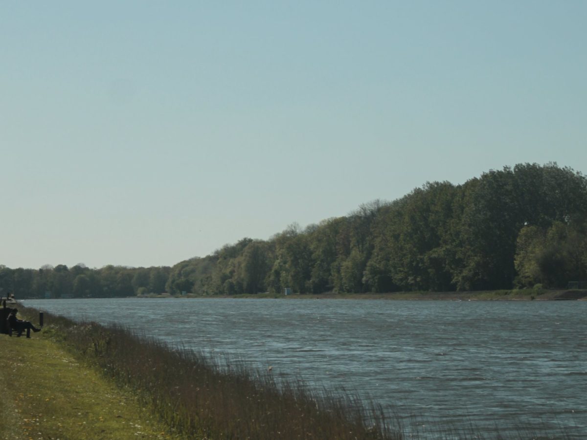 Waters Edge (2/2)
