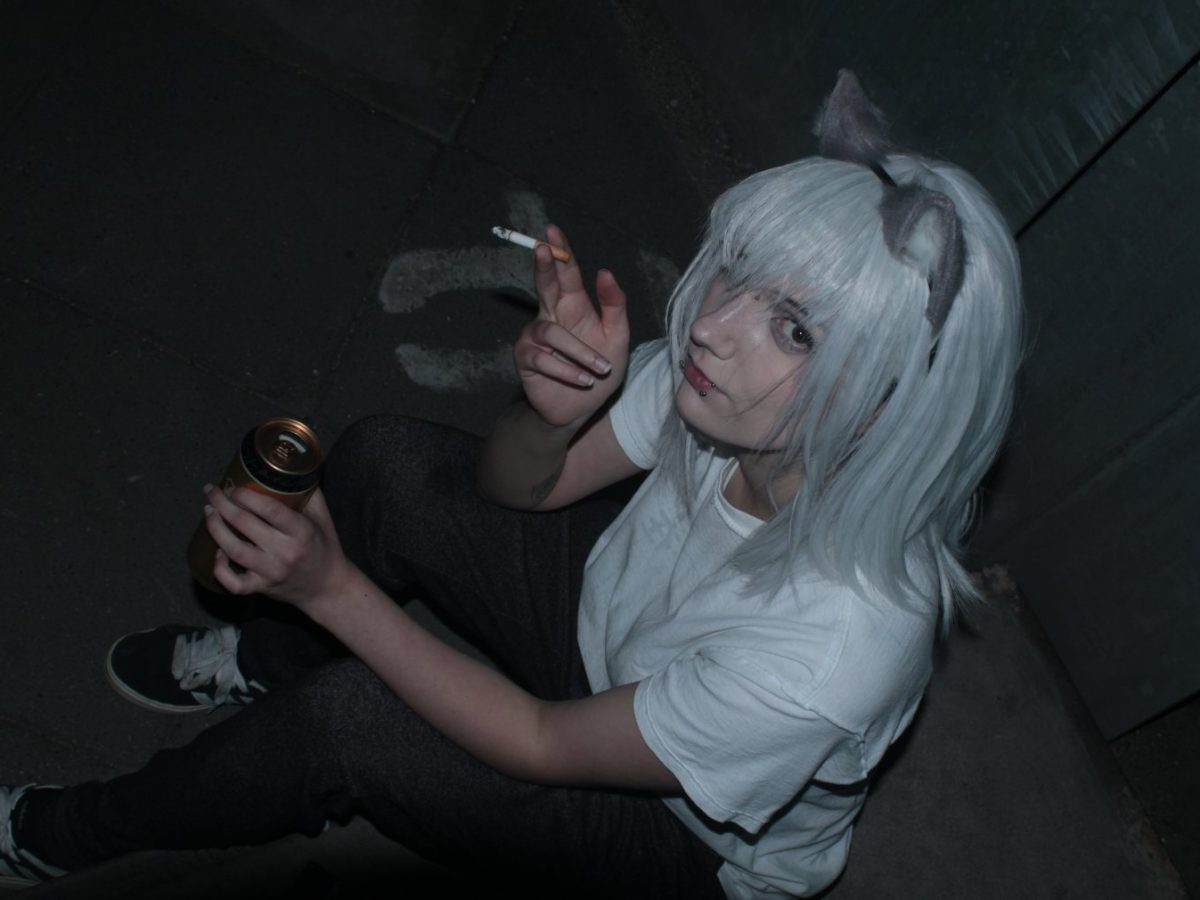 Yani Robin Neko