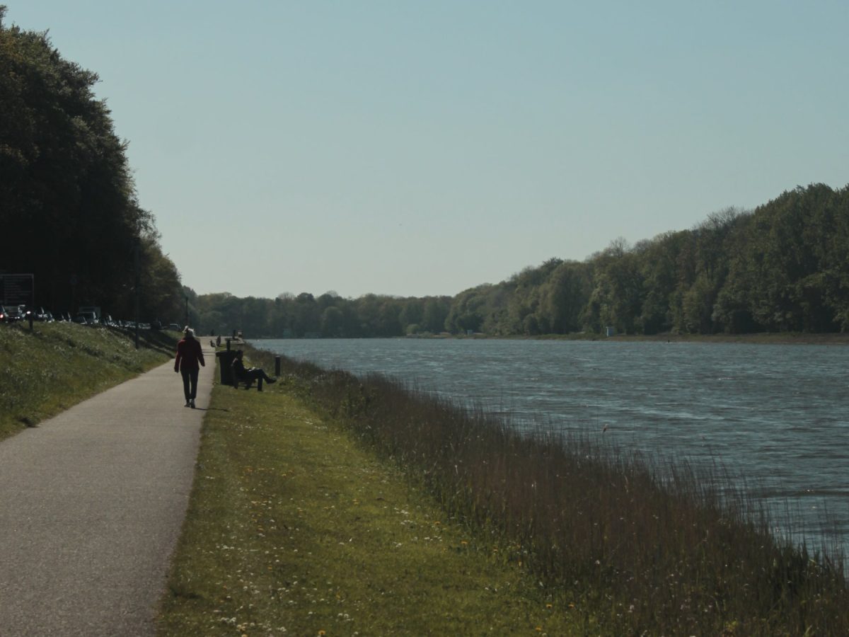 Waters Edge (1/2)