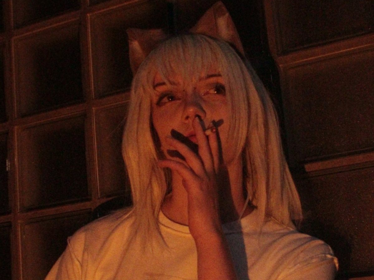 Yani Robin Neko