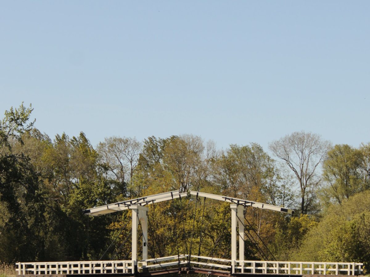 Bridge Along the Way